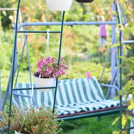 Casa de hóspedes Casa Dany 3*