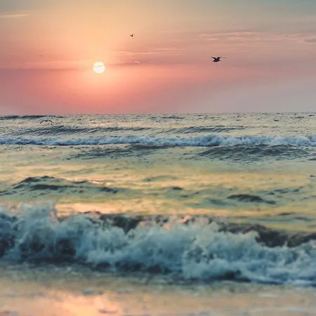 Casa Dany Casa de hóspedes 3*