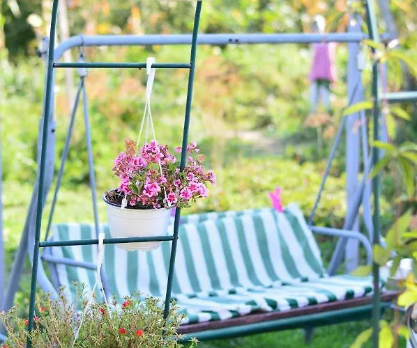 Penzion Casa Dany 3*