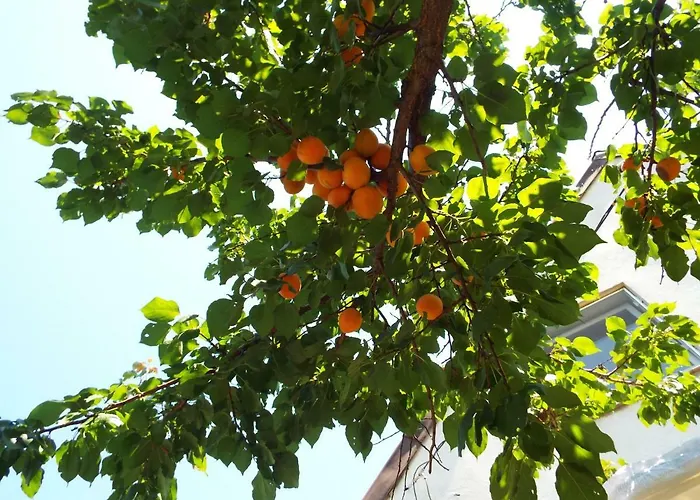 Penzion Casa Dany 3*