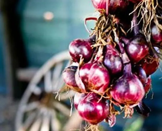 Casa Dany 3* Corbu (Constanta)