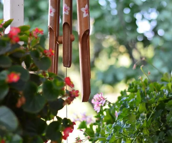 Penzion Casa Dany 3*