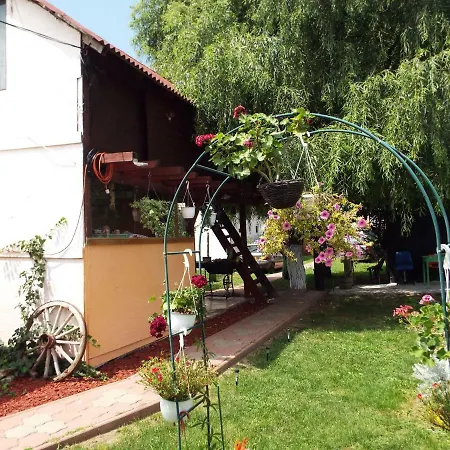 Casa Dany Guest house Corbu (Constanta)