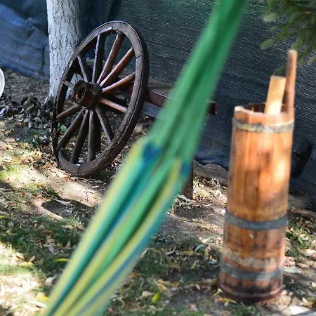 Casa Dany Corbu (Constanta)