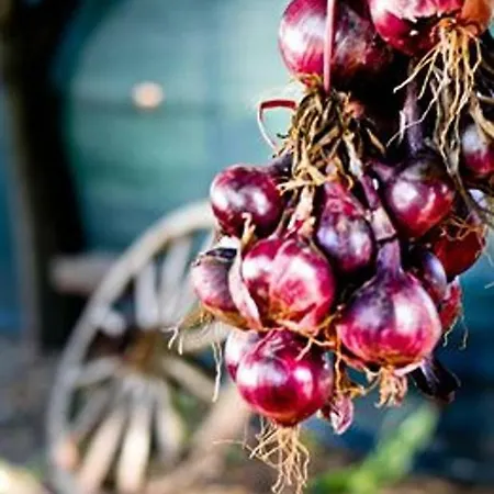 Casa Dany 3* Corbu (Constanta)